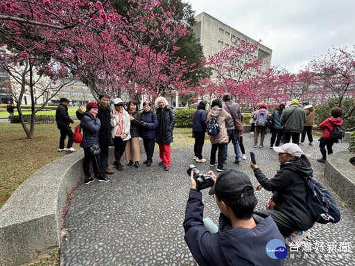 元智攝影社舉辦櫻花人像攝影 社區民眾熱情參與