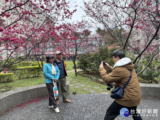 元智攝影社舉辦櫻花人像攝影 社區民眾熱情參與