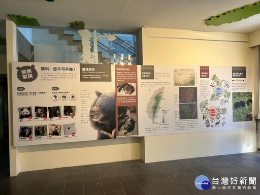 塔塔加遊客中心「與熊共存-台灣黑熊特展」 一同守護野生動物家園