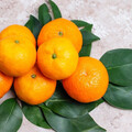 小林製藥引發紅麴風暴 柑橘類黃酮成替代新選擇