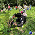 東勢林場「保護大地 小樹加油」 帶領小朋友體驗照顧小樹苗