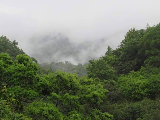 高溫炎熱防中暑 午後防局部大雨