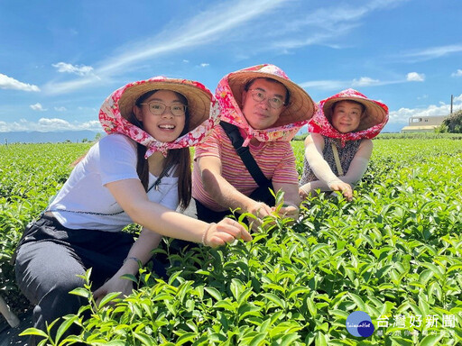松嶺茶鄉體驗營 參山邀大家來當一日製茶師