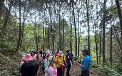 夏日大放送東勢林場邀民眾到森林旅遊 即日起至8/31當日壽星免費入園