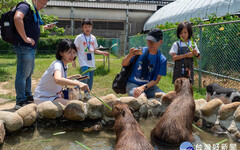 蘆竹炫YA農遊季圓滿落幕 大古山步道公園夜間燈持續飾閃耀至8月底