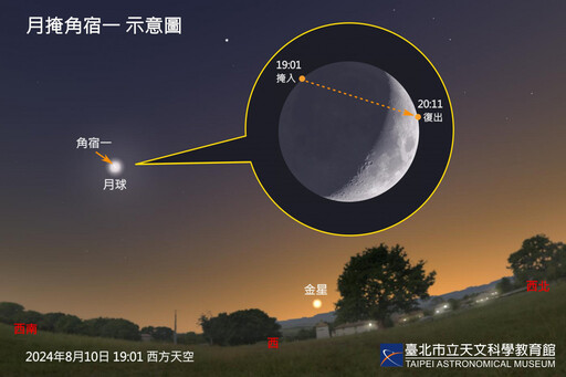 8月天象精彩連連 罕見月掩一等星、時量百顆流星雨、行星近合等星級天象接力登場