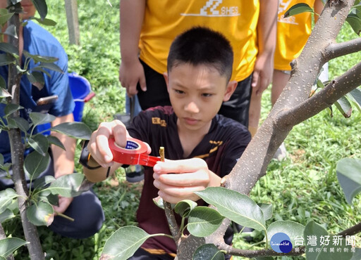 抓住暑假的尾巴 勞發署桃竹苗分署開箱新埔小鎮深度遊