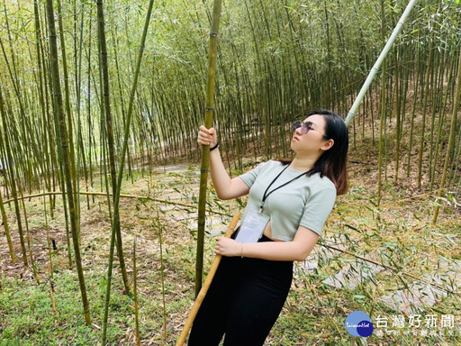 漫遊「天使花毯」璀璨美景 富里鄉六十石山金針花季登場