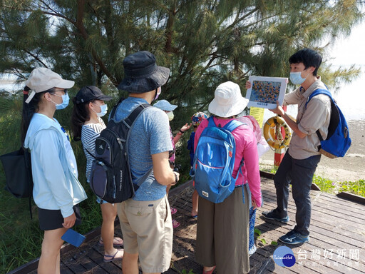 台江國家公園「潟遊三生」 9/4上午開放網路報名