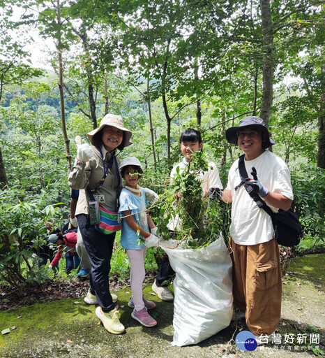 公私合力保育山林 東勢林場7日啟動清除「小花蔓澤蘭」行動