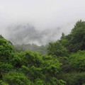 本週水氣多易降雨 關島熱帶擾動醞釀中