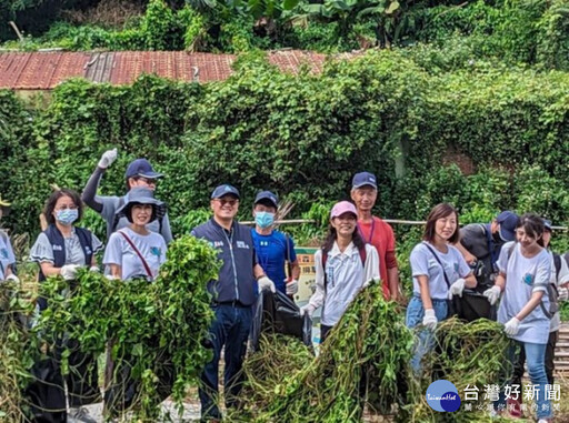 移除綠色殺手小花蔓澤蘭 桃市府邀市民攜手護家園