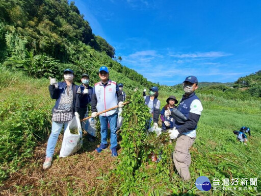 移除綠色殺手小花蔓澤蘭 桃市府邀市民攜手護家園