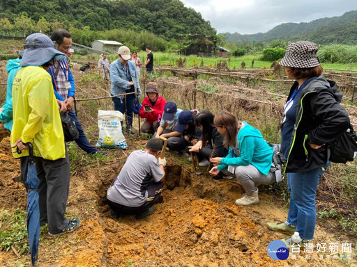 新北山藥吃當季玩當地 挖掘山藥、沙雕派對半價優惠