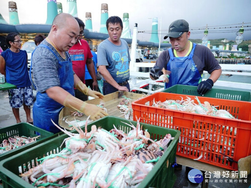 北海岸風箏節登場 富基魚市品蟹消費滿額送好禮