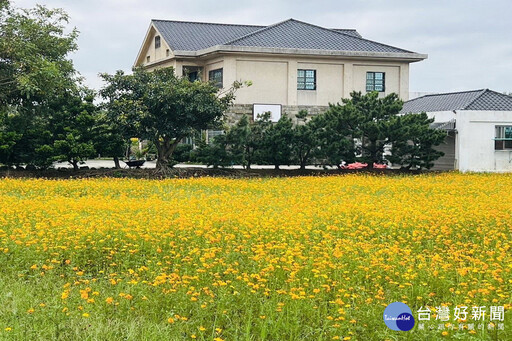 展現桃園農業轉型軟實力 2024花現中壢農遊趣登場