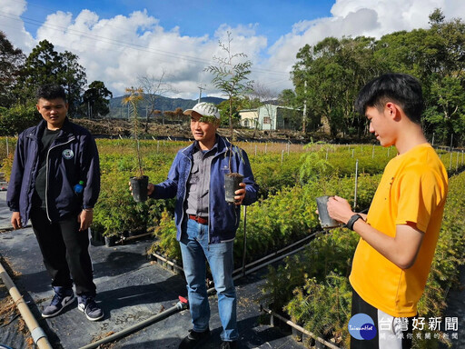 育苗幕後功臣 身懷絕技的苗圃監工