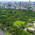 自然正成長 大安森林公園生態嘉年華登場