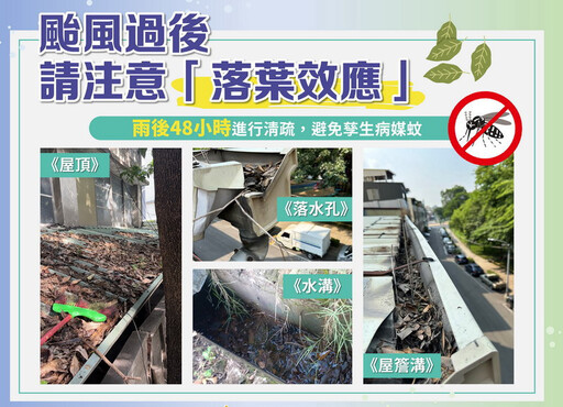 風災後一週為登革熱防治關鍵期 高市府呼籲做好「清除、清潔、消毒」防疫措施