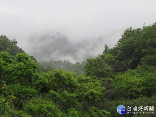 迎風面局部短暫雨 東北部山區雨勢大