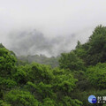 迎風面局部短暫雨 東北部山區雨勢大