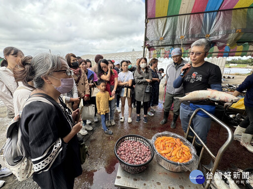 竹市推食魚教育課程 九降風烏魚子製作過程大解密