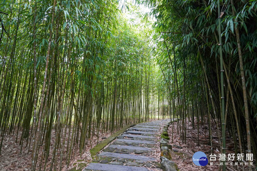 解鎖人生首座小百岳 嘉縣文觀局推薦親子同遊頂湖步道