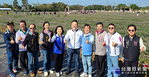 紫色花海夢幻登場 桃園仙草嘉年華打造「台灣版普羅旺斯」