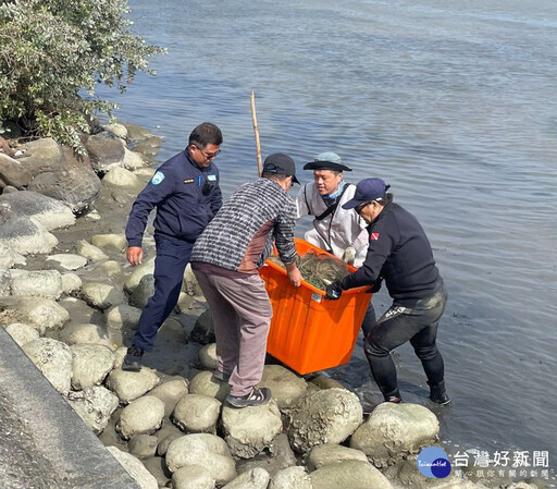 黑琵生態保護區驚傳違置流刺網 台江處籲：勿以身試法