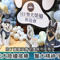 6隻功勳警犬光榮退役！ 「福星」、「首領」等英雄犬開啟幸福退休生活