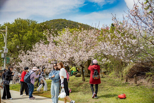 花IN台北：打造療癒城市綠洲 累積800萬參觀人次！