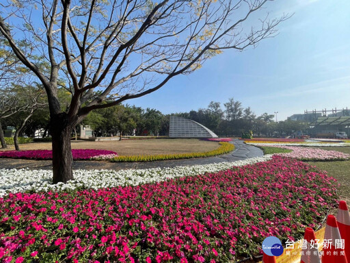 迎接金蛇年 南瀛綠都心、永康公園妝點花藝邀走春