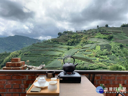 農曆春節出遊好選擇 品味阿里山高山茶與茶點