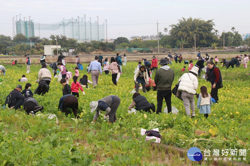 拔蘿蔔踩蘿蔔農田大冒險 南投市推食農教育親子嗨翻天