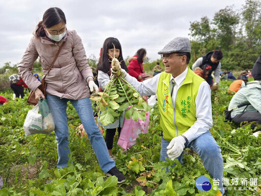 花漾Chill賞花暨稻草藝術添亮點 拔蘿蔔體驗樂無窮