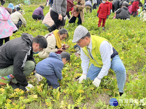 花漾Chill賞花暨稻草藝術添亮點 拔蘿蔔體驗樂無窮