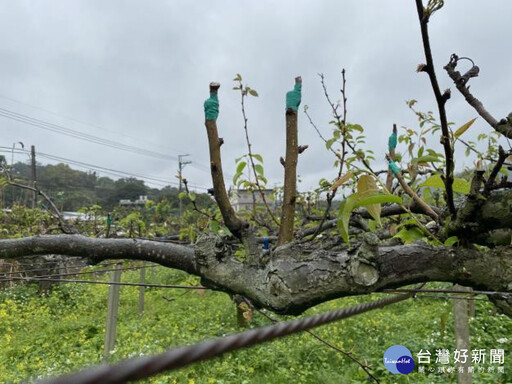 竹縣府5大防寒措施 提醒農友平安健康過好年