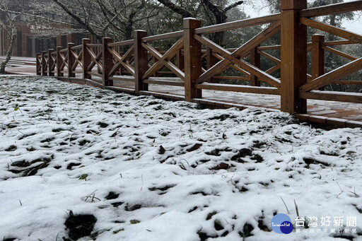 拉拉山降下2025年初雪 桃觀旅局提供線上賞雪