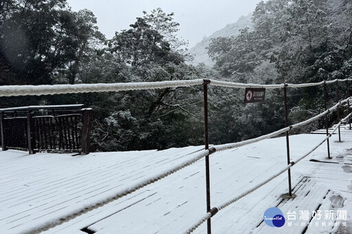 拉拉山降下2025年初雪 桃觀旅局提供線上賞雪