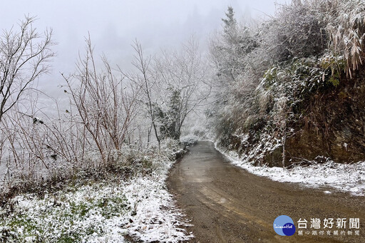 拉拉山降下2025年初雪 桃觀旅局提供線上賞雪