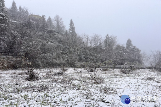 拉拉山降下2025年初雪 桃觀旅局提供線上賞雪