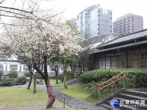 I型人的最佳遊點 逸仙公園倚梅香