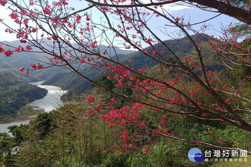 北橫美景生態人文之旅 邀您賞花泡湯抽好禮