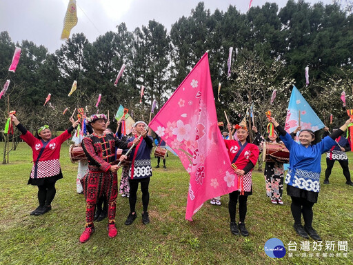 九族櫻花祭 六品種六千棵櫻花接力綻放