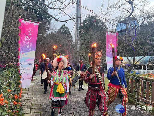 九族櫻花祭 六品種六千棵櫻花接力綻放