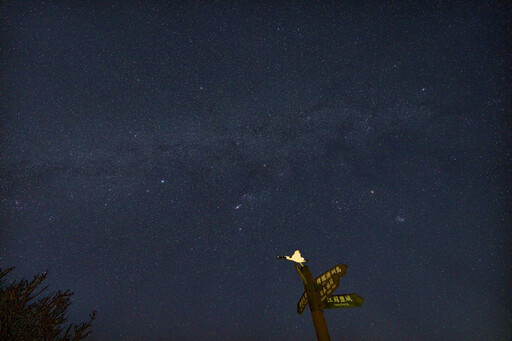 台江國家公園「黃昏賞黑琵、夜間觀星空」 2/10上午10時限量報名起跑