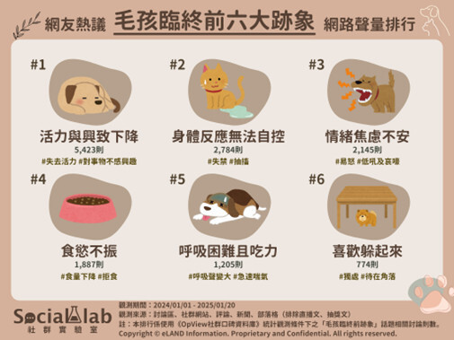 活力下降、食慾不振需注意 網議毛孩臨終前6徵兆