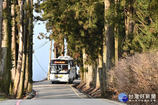 228連假逢武陵櫻花季 中市加開賞櫻專車疏運