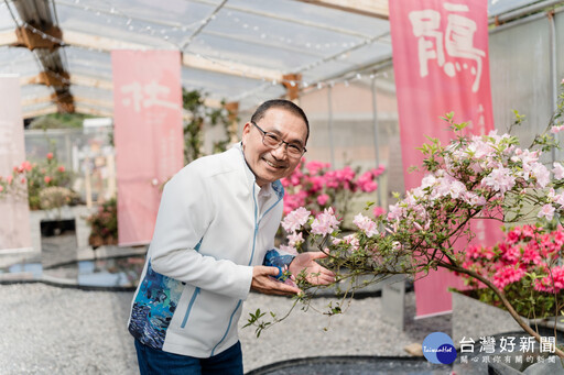 金山杜鵑美術館 展出22種特殊品種杜鵑