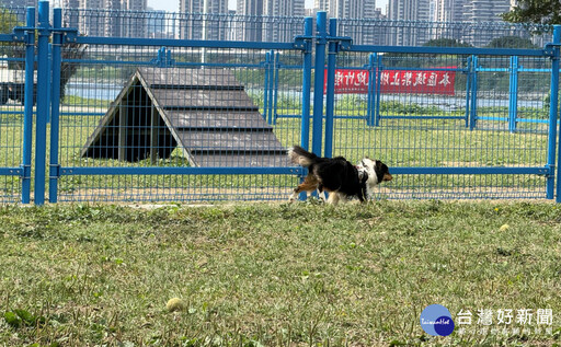 永和綠寶石寵物公園更新安全圍籬 讓毛孩盡情奔跑